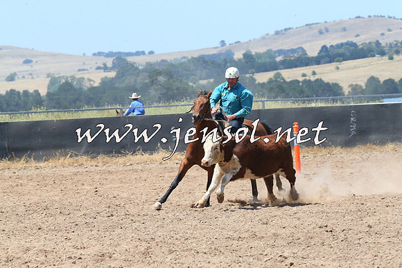 BraidwoodCampdraft2014_0774