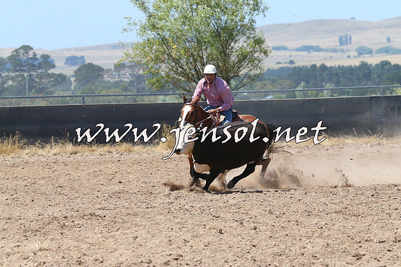 BraidwoodCampdraft2014_0711