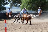 BraidwoodCampdraft2014_0657
