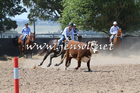 BraidwoodCampdraft2014_0657