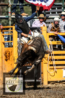 QueanbeyanRodeo2018_4868