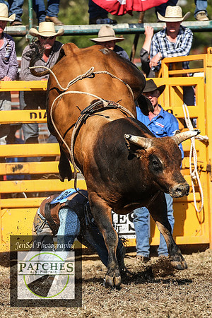 QueanbeyanRodeo2018_5239