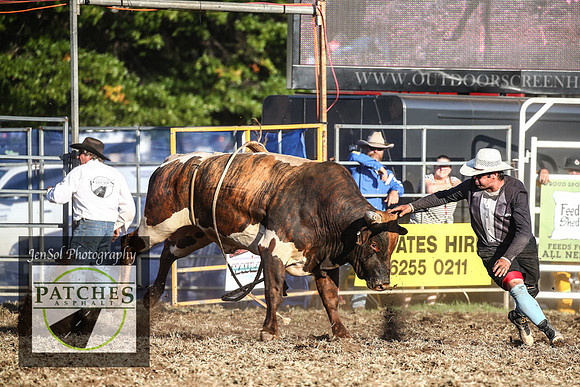 QueanbeyanRodeo2018_5838