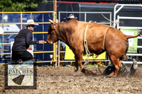 QueanbeyanRodeo2018_4993