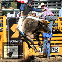 QueanbeyanRodeo2018_4889