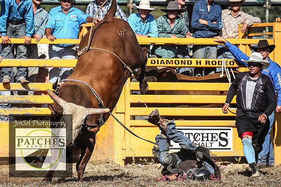QueanbeyanRodeo2018_5164