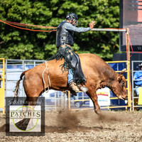QueanbeyanRodeo2018_4990