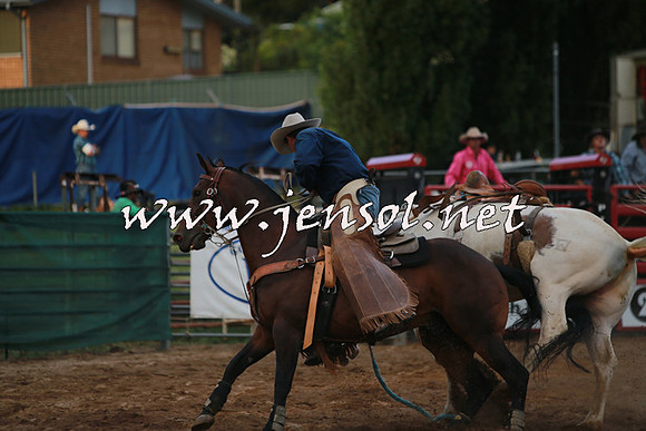 CoomaRodeo2016_2954