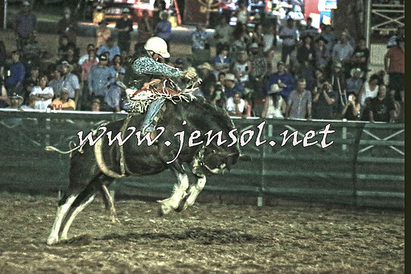 CoomaRodeo2016_3731