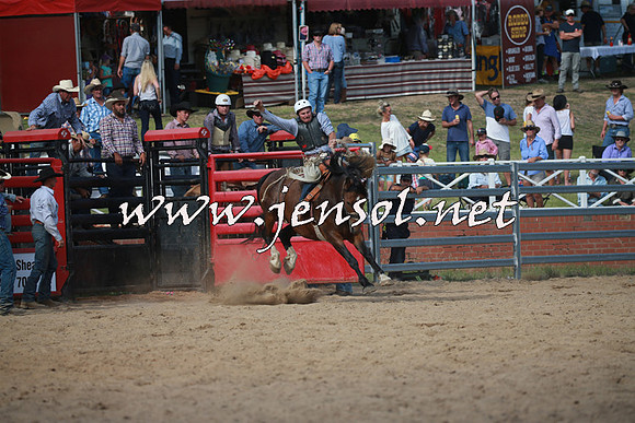CoomaRodeo2016_2186