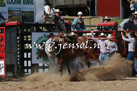 CoomaRodeo2016_2101