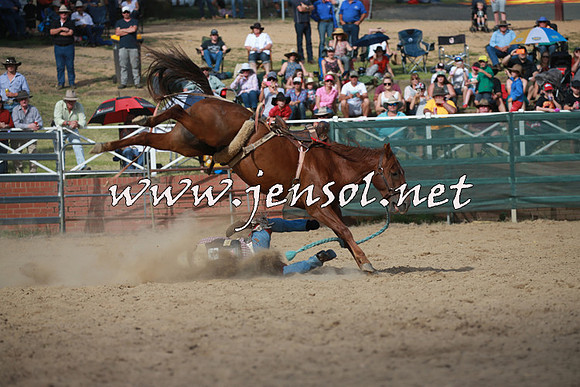 CoomaRodeo2016_2146