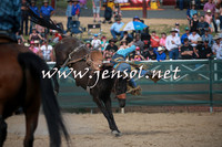 CoomaRodeo2016_2175