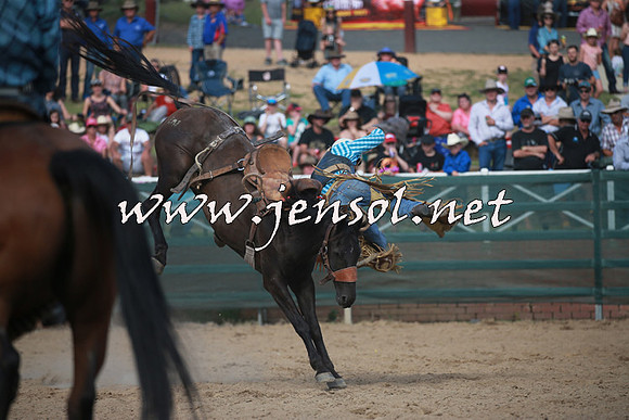 CoomaRodeo2016_2175