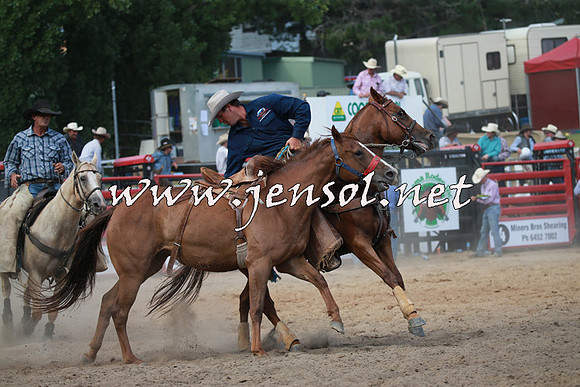 CoomaRodeo2016_2263