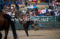 CoomaRodeo2016_2176
