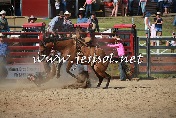 CoomaRodeo2016_2107