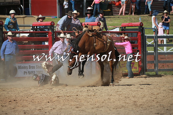 CoomaRodeo2016_2103