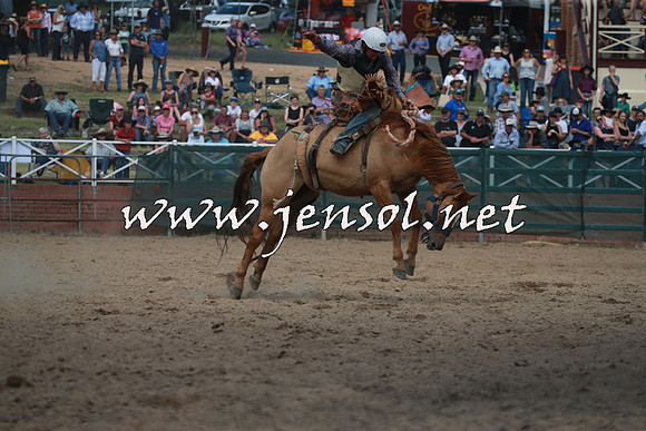 CoomaRodeo2016_2231