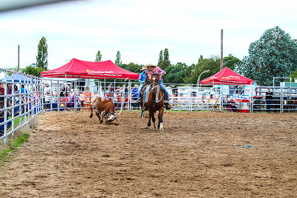 BraidwoodRodeo2017_0541