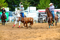 BraidwoodRodeo2017_0118