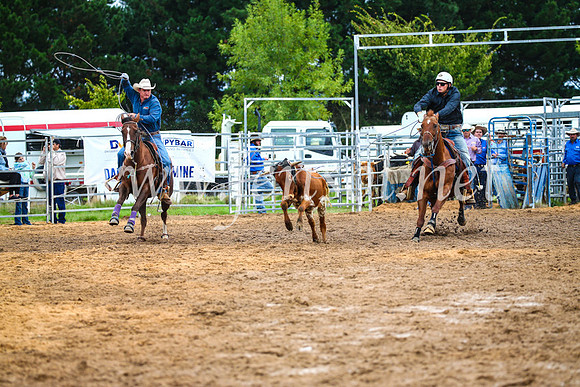 BraidwoodRodeo2017_0156