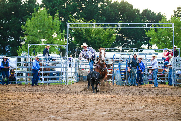 BraidwoodRodeo2017_3463