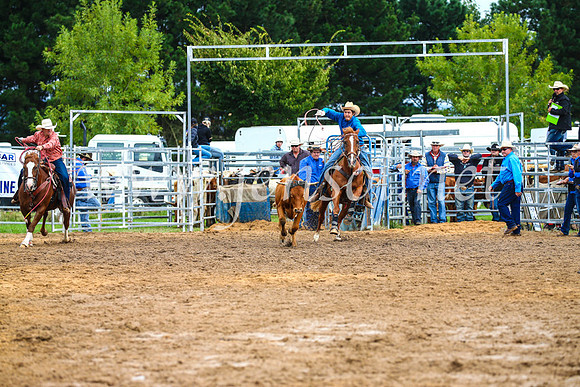 BraidwoodRodeo2017_0131