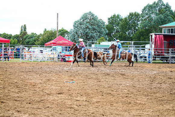 BraidwoodRodeo2017_0536