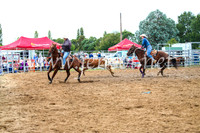 BraidwoodRodeo2017_0510
