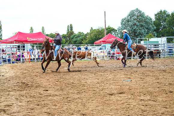BraidwoodRodeo2017_0510