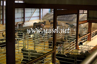 RDAug2013_0212