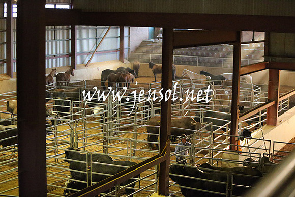 RDAug2013_0212