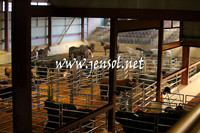 RDAug2013_0213