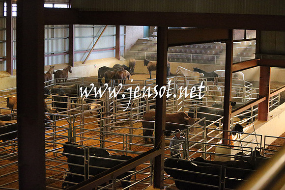 RDAug2013_0213