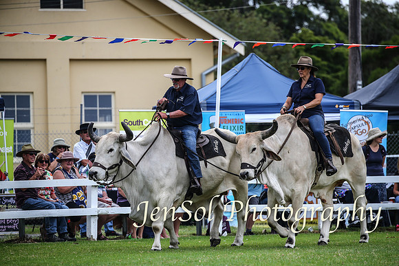MiltonShow2018_2003