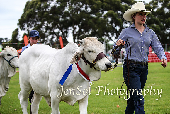 MiltonShow2018_2033
