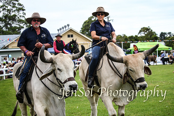 MiltonShow2018_2024