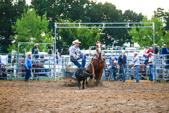 BraidwoodRodeo2017_3470