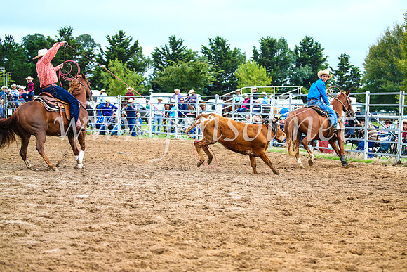 BraidwoodRodeo2017_0136