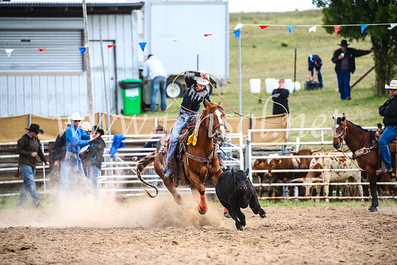 BungendoreRodeo2017_0352