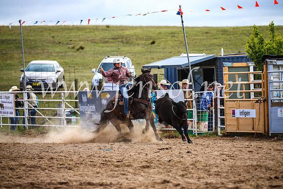 BungendoreRodeo2017_0096