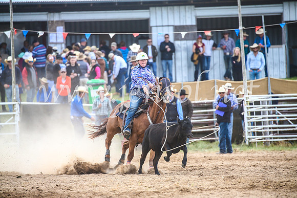 BungendoreRodeo2017_2148