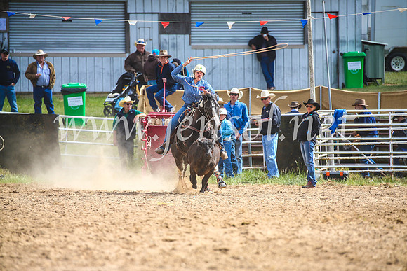 BungendoreRodeo2017_0281