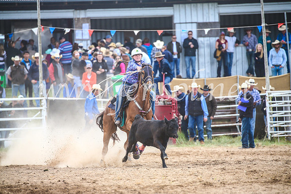 BungendoreRodeo2017_2144
