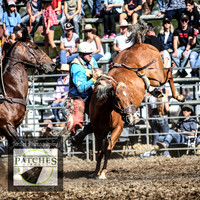QueanbeyanRodeo2018_4688
