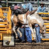 QueanbeyanRodeo2018_4513