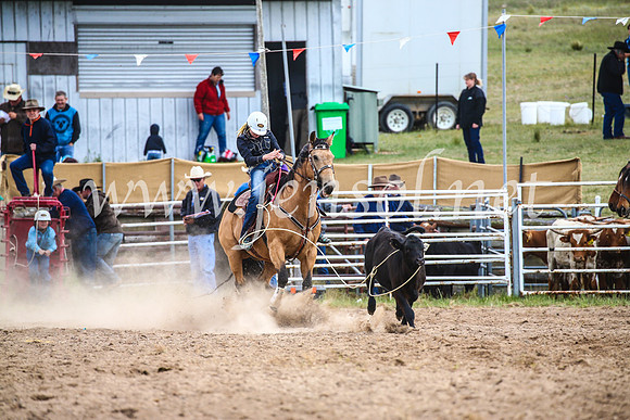 BungendoreRodeo2017_0302