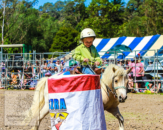 PictonRodeo2013KJS_4416