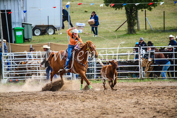 BungendoreRodeo2017_0116